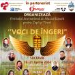 Continuă înscrierile pentru Festivalul internațional de muzică ușoară „Voci de ...
