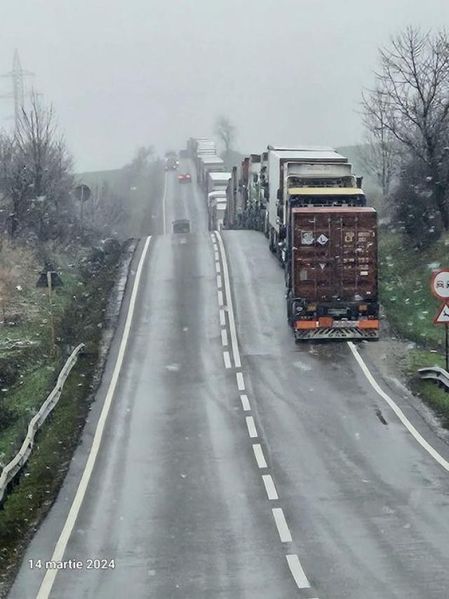 Coada de tiruri. Sursa foto: Facebook DRDP Iași