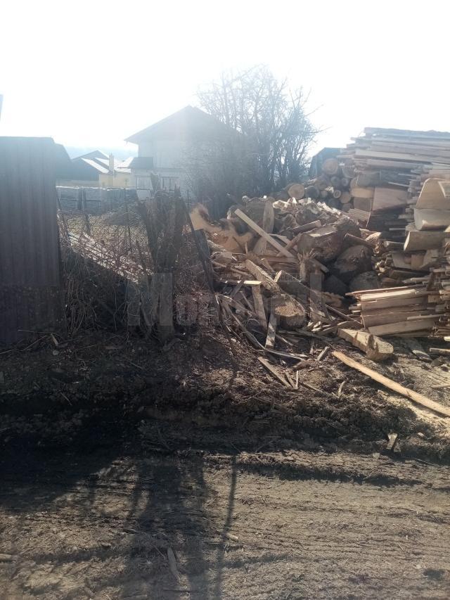 Deșeuri din lemn peste gardurile proprietăților