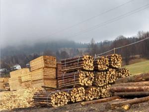 Materiale lemnoase pentru care nu a fost dovedită proveniența legală, idenficicate de Garda Forestieră Suceava în urma controalelor de la Brodina