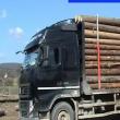 Un nou ansamblu folosit pentru un transport ilegal de material lemnos, indisponibilizat de ...