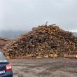 Materiale lemnoase pentru care nu a fost dovedită proveniența legală, idenficicate de Garda Forestieră Suceava în urma controalelor de la Brodina
