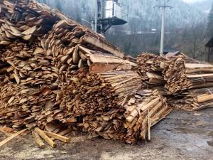 Material lemnos Broșteni