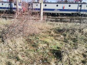 Gunoaiele aruncate aproape de liniile de cale ferată au fost stranse de reprezentanții CFR Suceava