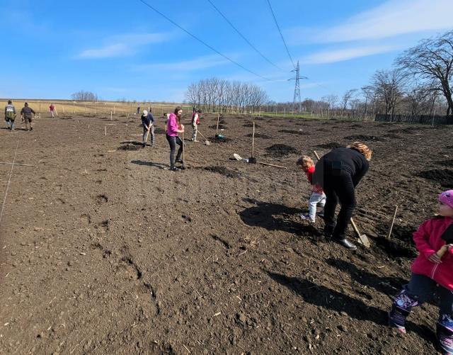 “Livada copiilor”,  înființată cu voluntari pe terenul unde a copilărit George Enescu