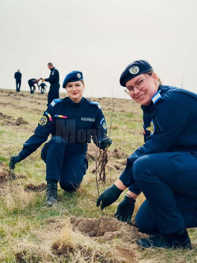 174 de stejari plantați la 174 de ani de la înființarea Jandarmeriei