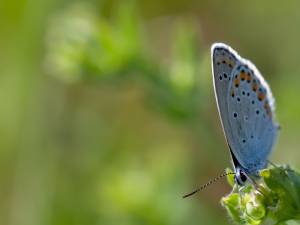 Testând tărâmuri noi