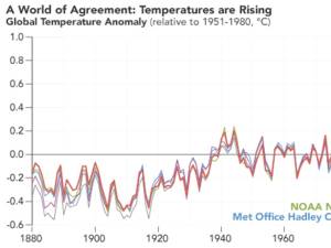 Figura 1: Anomalii ale nivelului global al temperaturii medii anuale înregistrate de diferite organisme de cercetare și monitorizare a climei (comparativ cu perioada 1951 – 1980, grade Celsius)