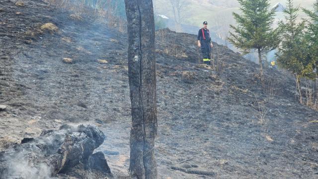 Incendiu de vegeteție