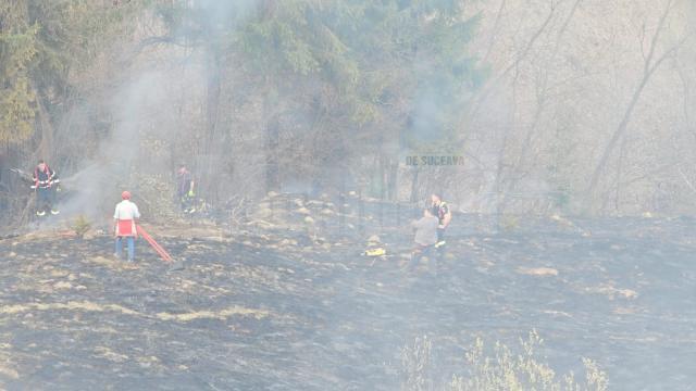 Incendiu de vegeteție