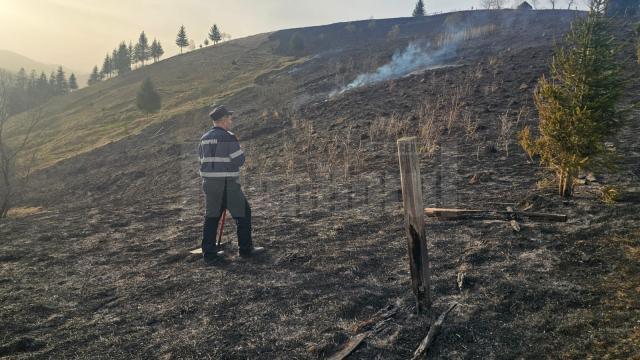 Incendiu de vegeteție