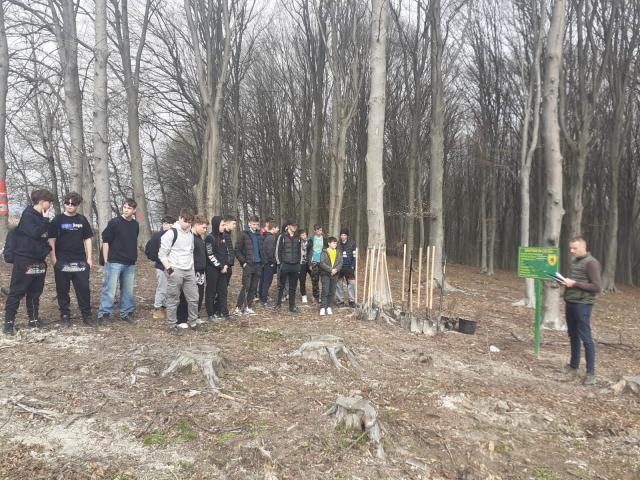 Elevii au plantat arbuști ornamentali în curtea unității școlare și puieți de paltin în apropierea comunei Todirești