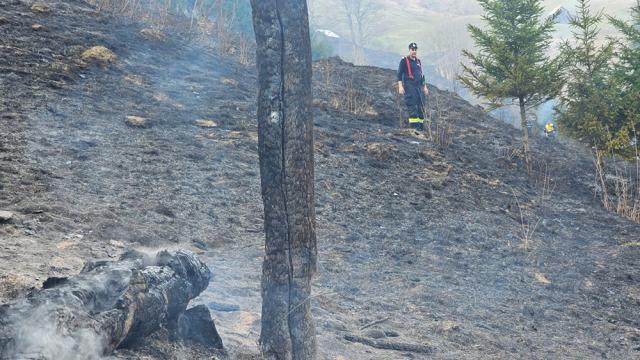 Incendiu de vegeteție