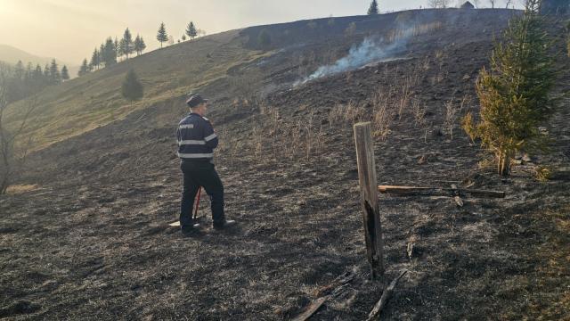 Incendiu de vegeteție