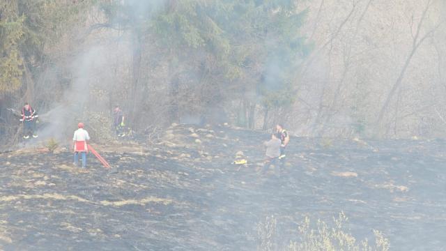 Incendiu de vegeteție