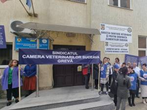 Salariații de la Direcția Sanitar Veterinară Suceava au început proteste în fața instituției