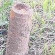 O femeie de 75 de ani a dat peste un proiectil de război în timp ce pregătea terenul pentru ...