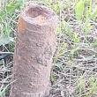O femeie de 75 de ani a dat peste un proiectil de război în timp ce pregătea terenul pentru ...