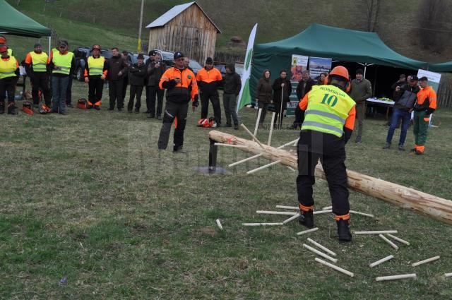 Concursul ”Cel mai bun fasonator”, faza pe județ, desfășurat la Ocolul Silvic Vama