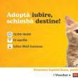 Duminică, de la ora 12.00, la parterul Iulius Mall, va avea loc Târgul de adopție de căței și pisici – ”Adoptă iubire! Schimbă destine!”