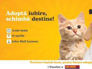 Duminică, de la ora 12.00, la parterul Iulius Mall, va avea loc Târgul de adopție de căței și pisici – ”Adoptă iubire! Schimbă destine!”