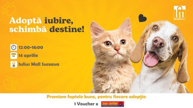 Duminică, de la ora 12.00, la parterul Iulius Mall, va avea loc Târgul de adopție de căței și pisici – ”Adoptă iubire! Schimbă destine!”