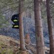 17 incendii de vegetație scăpate de sub control, pe aproximativ 26 de hectare