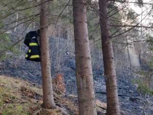 17 incendii de vegetație scăpate de sub control, pe aproximativ 26 de hectare