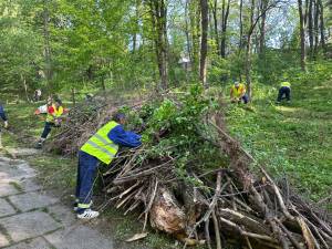 Acțiune de igienizare în Parcul Șipote, inițiată de Primăria Suceava împreună cu Direcția Silvică Suceava