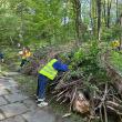 Acțiune de igienizare în Parcul Șipote, inițiată de Primăria Suceava împreună cu Direcția Silvică Suceava