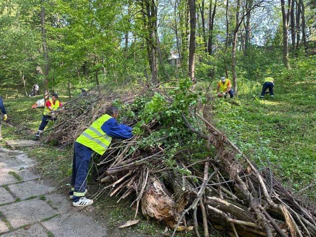 Acțiune de igienizare în Parcul Șipote, inițiată de Primăria Suceava împreună cu Direcția Silvică Suceava