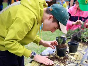 Participanții acțiunii de plantare de la Putna au avut ocazia să planteze ei înșiși puieți de molid în ghivecele pregătite și inscripționate cu numele fiecăruia