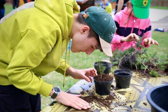 Participanții acțiunii de plantare de la Putna au avut ocazia să planteze ei înșiși puieți de molid în ghivecele pregătite și inscripționate cu numele fiecăruia