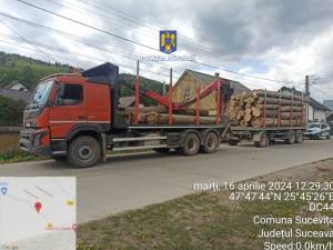 Autotren de 60.000 de euro, confiscat de polițiști după un transport de lemn efectuat fără pornirea acestuia în aplicația oficială SUMAL