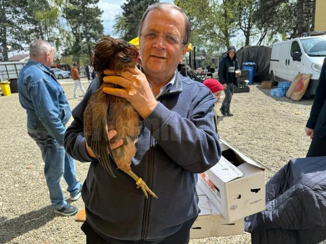 Găini din rasa Araucana, originare din Peru, care fac ouă cu coajă verde și fără colesterorl, cumpărate de Gheorghe Flutur de la târgul organizat la Ferma Ițcani