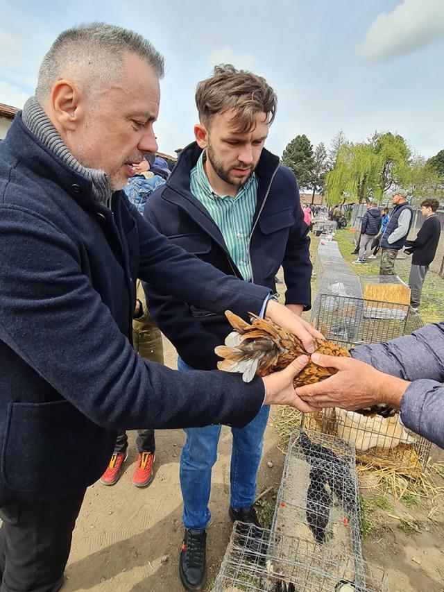 Deputatul Ioan Bălan a luat o pereche de găinușe moțate, de talie mică