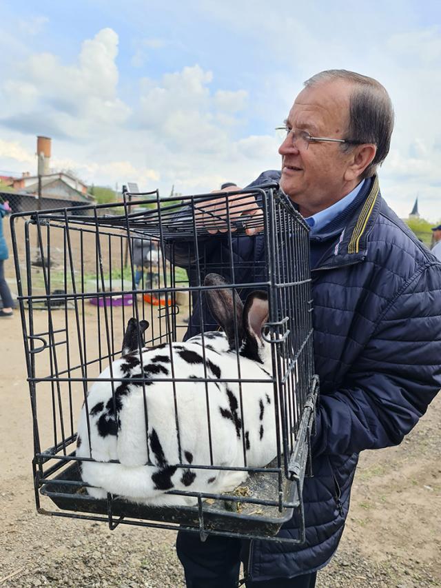 Gheorghe Flutur s-a decis să cumpere o pereche de iepuri din rasa Rex Dalmațian de la târgul organizat la Ferma Ițcani