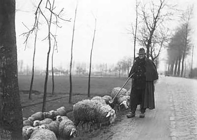 „Chiabur demascat de muncitorii agricoli”