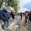 Târgul de păsări și animale de la Ferma Ițcani, bucurii pentru cei mici și cei mari