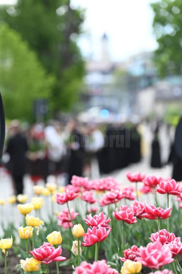 Procesiune de Florii, pe străzile Sucevei. Foto artistul