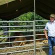 Un fermier care a jonglat cu fonduri europene a scăpat de pușcărie in extremis