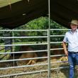 Un fermier care a jonglat cu fonduri europene a scăpat de pușcărie in extremis