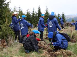 Apa Bucovina – continuăm să protejăm Ținutul Echilibrului A avut loc cea de-a cincea acțiune de reîmpădurire, alături de nume mari ale sportului românesc