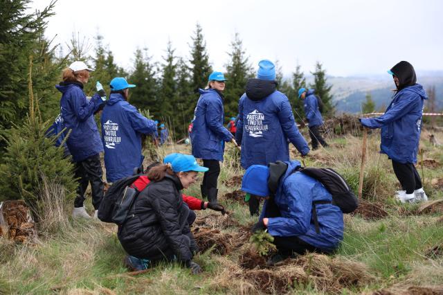 Apa Bucovina – continuăm să protejăm Ținutul Echilibrului A avut loc cea de-a cincea acțiune de reîmpădurire, alături de nume mari ale sportului românesc