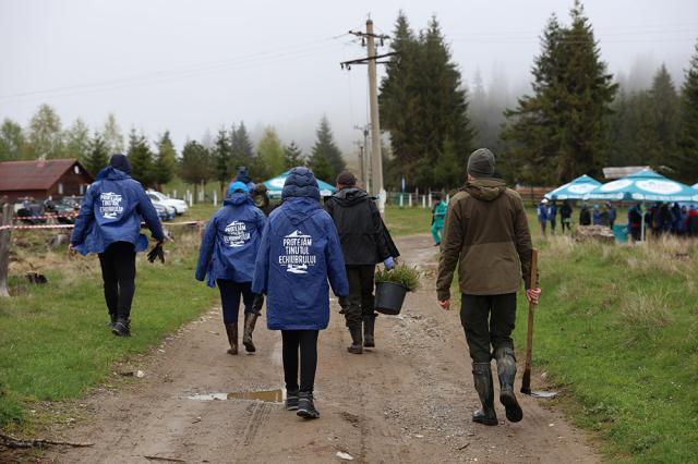 Apa Bucovina – continuăm să protejăm Ținutul Echilibrului. A avut loc cea de-a cincea acțiune de reîmpădurire, alături de nume mari ale sportului românesc