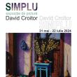 Expoziția de pictură „Simplu”, semnată de David Croitor, la Muzeul de Istorie Suceava