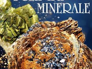 „Sclipiri minerale”, la Muzeul de Științele Naturii