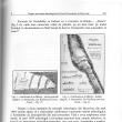 Fortificaţia de la Hliniţa (regiunea Cernăuţi, Ucraina, ridicare topografică de Karl A. Romstorfer, publicată în 1895)