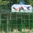 „Arca lui Noe”, cu peste 470 de exemplare de animale și păsări, deschisă la Zaharești