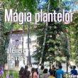 Atelier pentru copii, „Magia plantelor”, la Muzeul de Științe ale Naturii